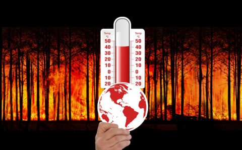 Global Warming – Consequences of Carelessness