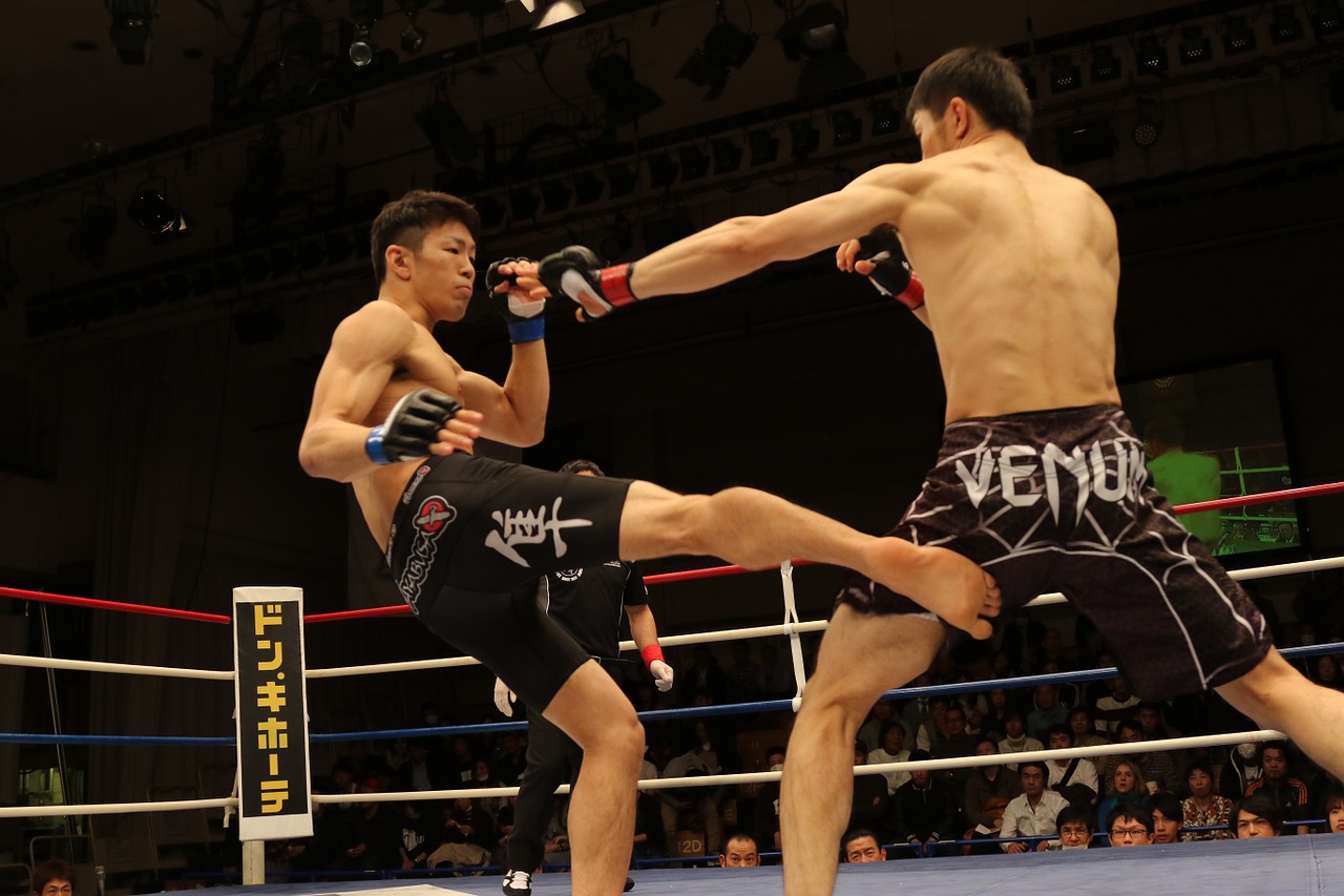 MMA Fighting – Brutality or Fun